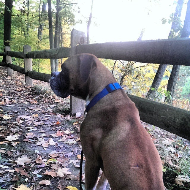 Leroy, OH Map & Directions MapQuest