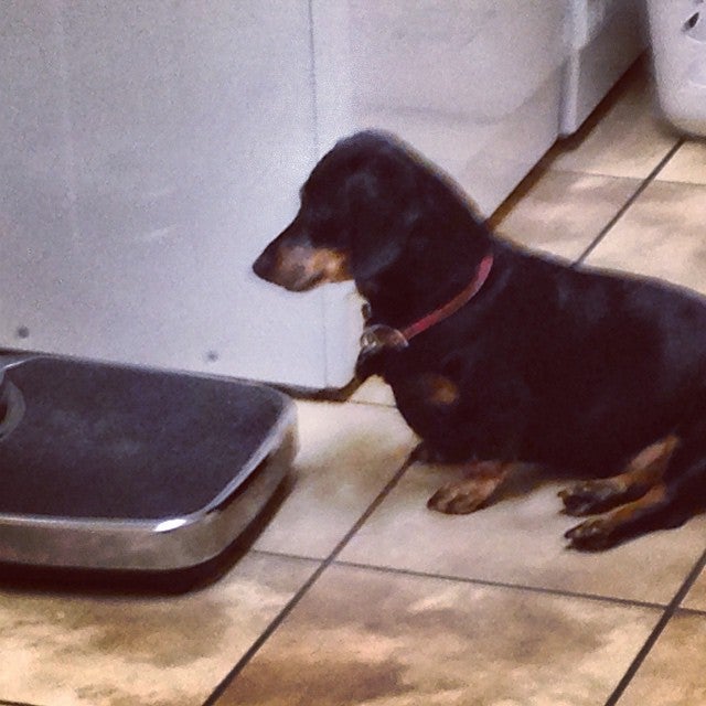 Mead, CO Map & Directions MapQuest