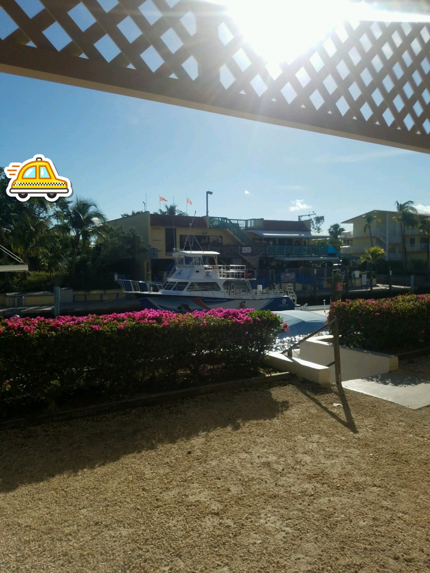 Sundiver Snorkeling Tours, Mile Marker 103 US hwy 1, Key Largo, FL