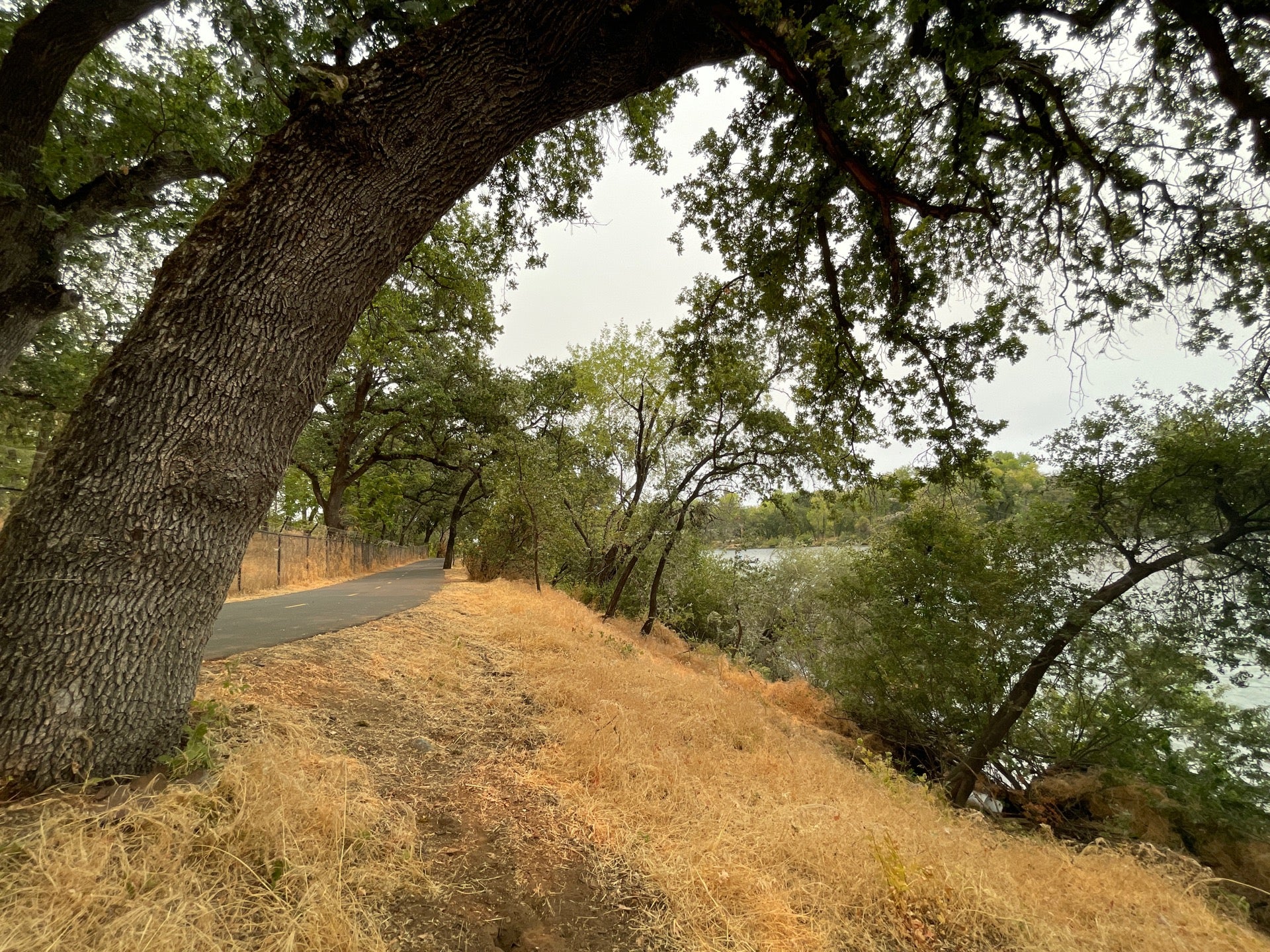 Sacramento River Trail - Turtle Bay East Connector, Redding, CA, Trail ...