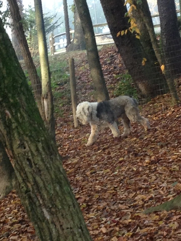 Fairmont, WV Map & Directions MapQuest