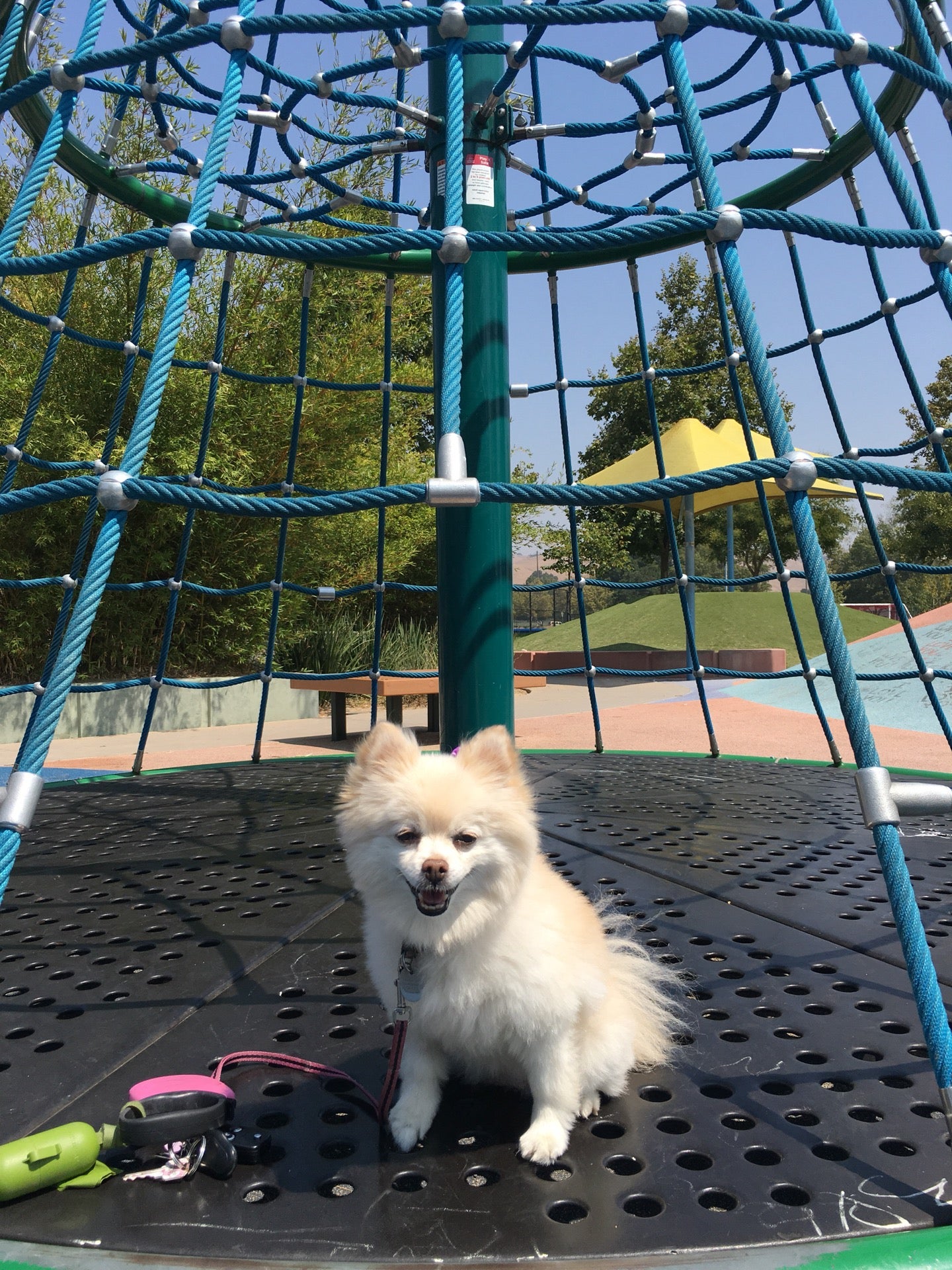 Always Dream Play Park, Stevenson Blvd, Fremont, CA, Parks MapQuest