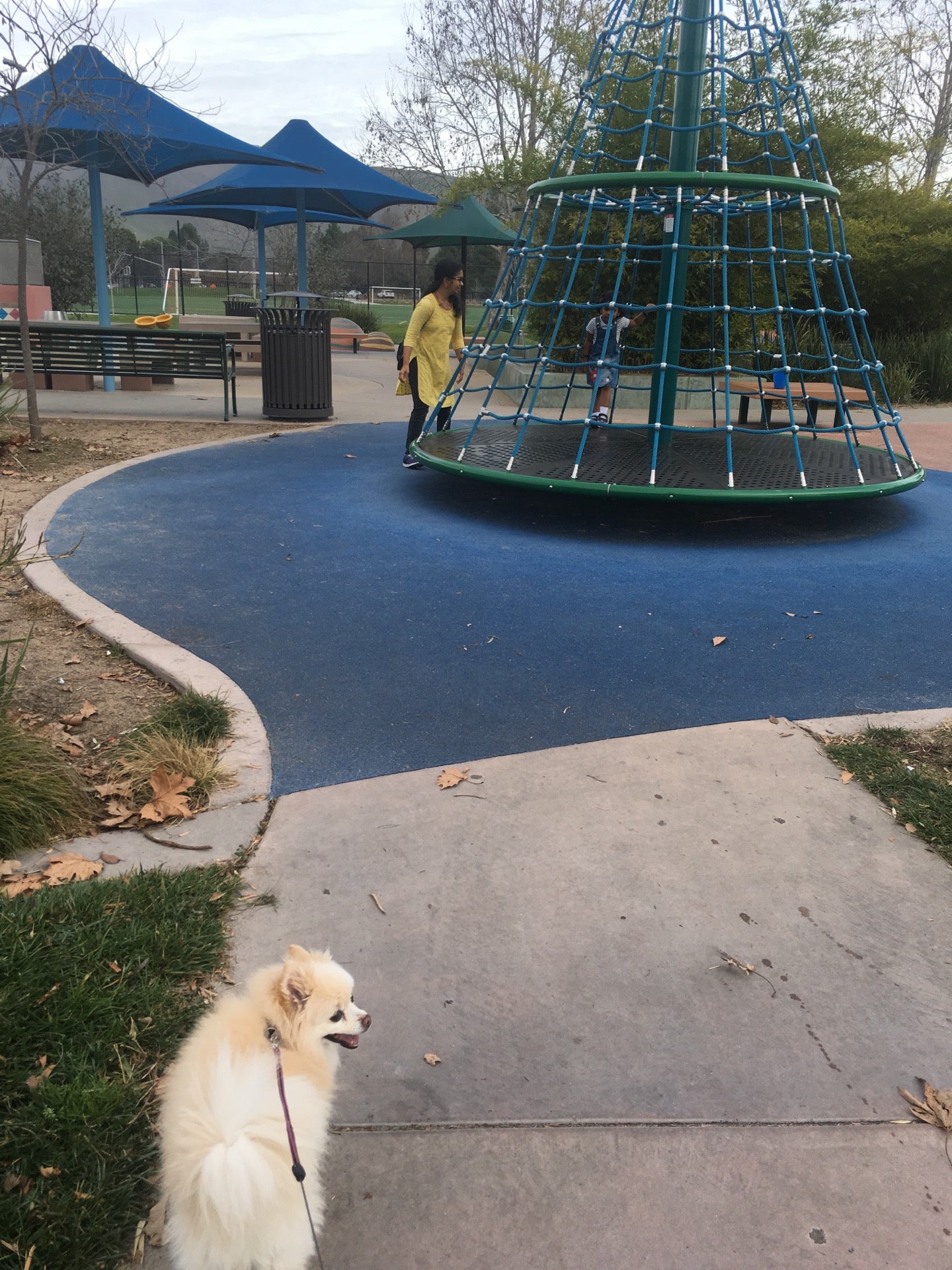Always Dream Play Park, Stevenson Blvd, Fremont, CA, Parks MapQuest