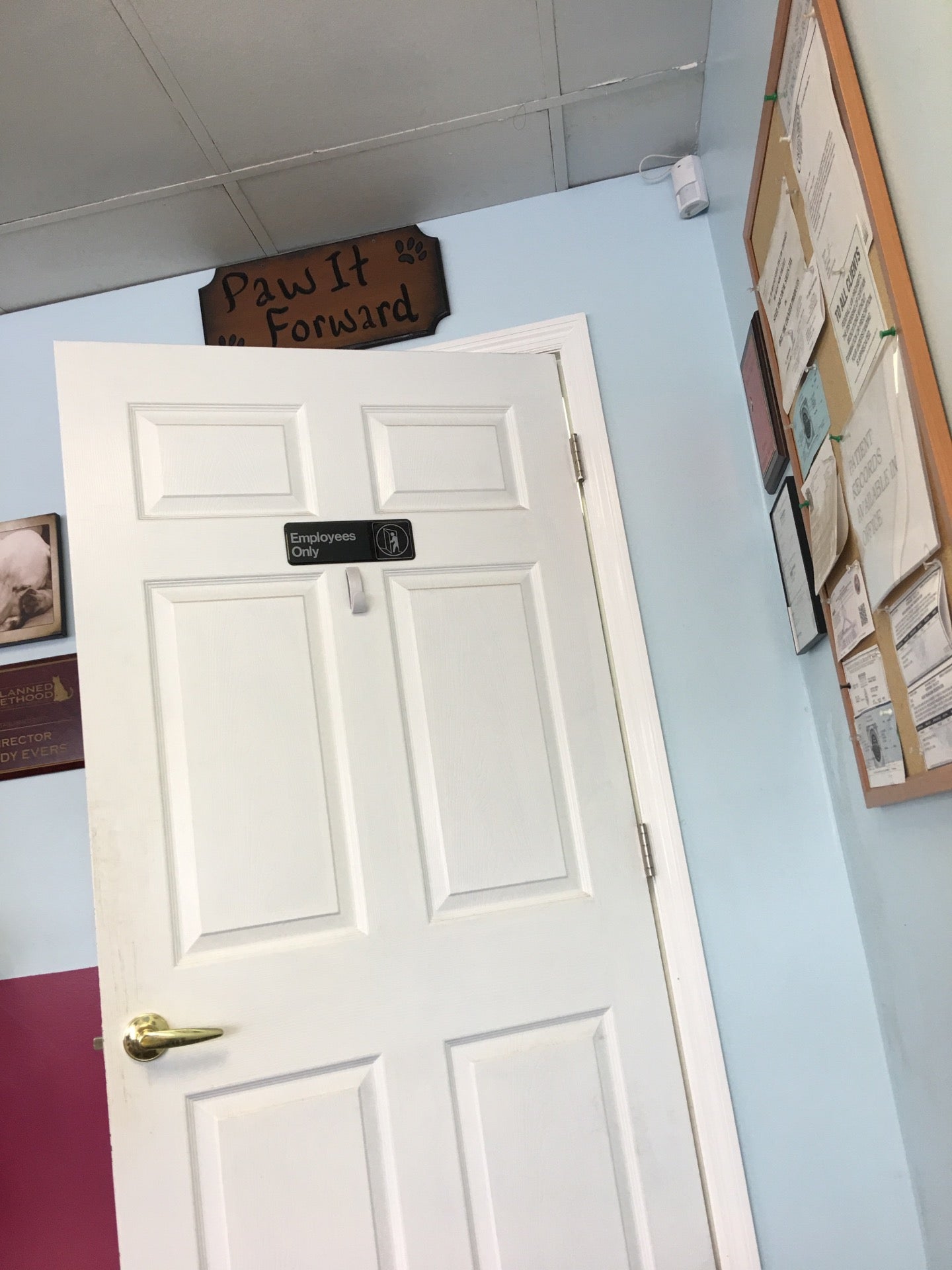 Planned Pethood, 37815 State Road 54, Zephyrhills, FL, Veterinarians