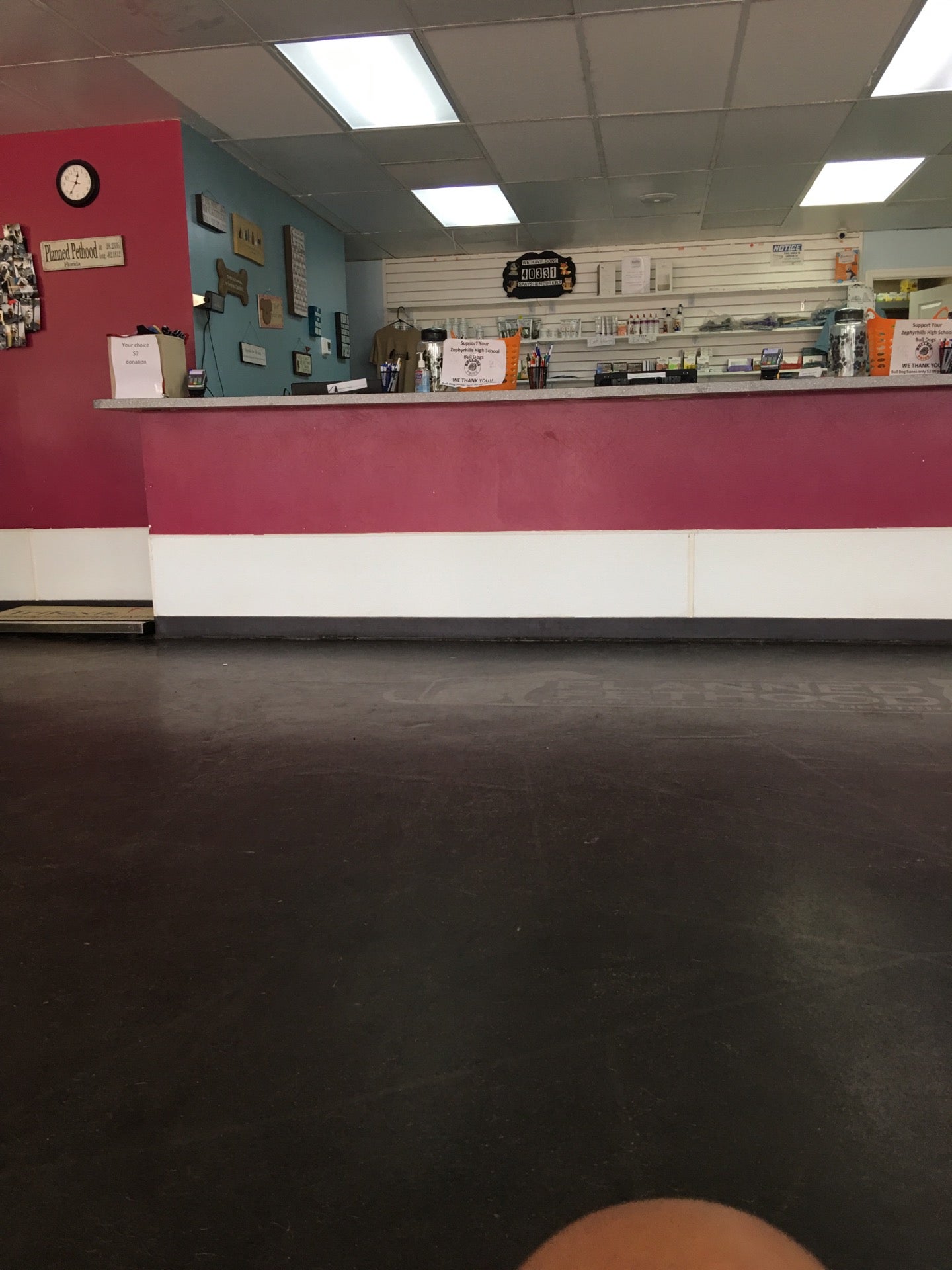 Planned Pethood, 37815 State Road 54, Zephyrhills, FL, Veterinarians