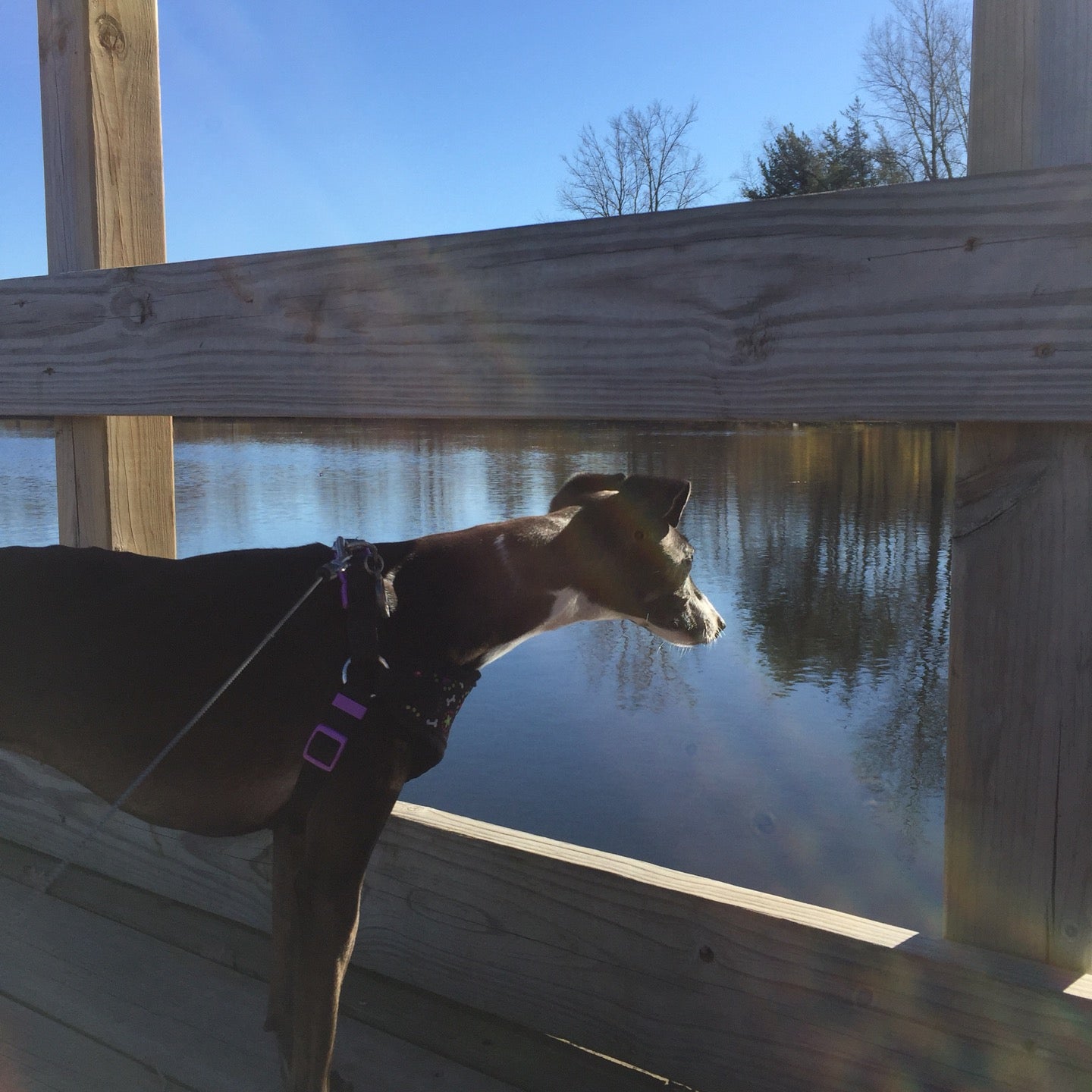 McDonough Lake, 860 Cliff Rd, Eagan, MN, Lake MapQuest