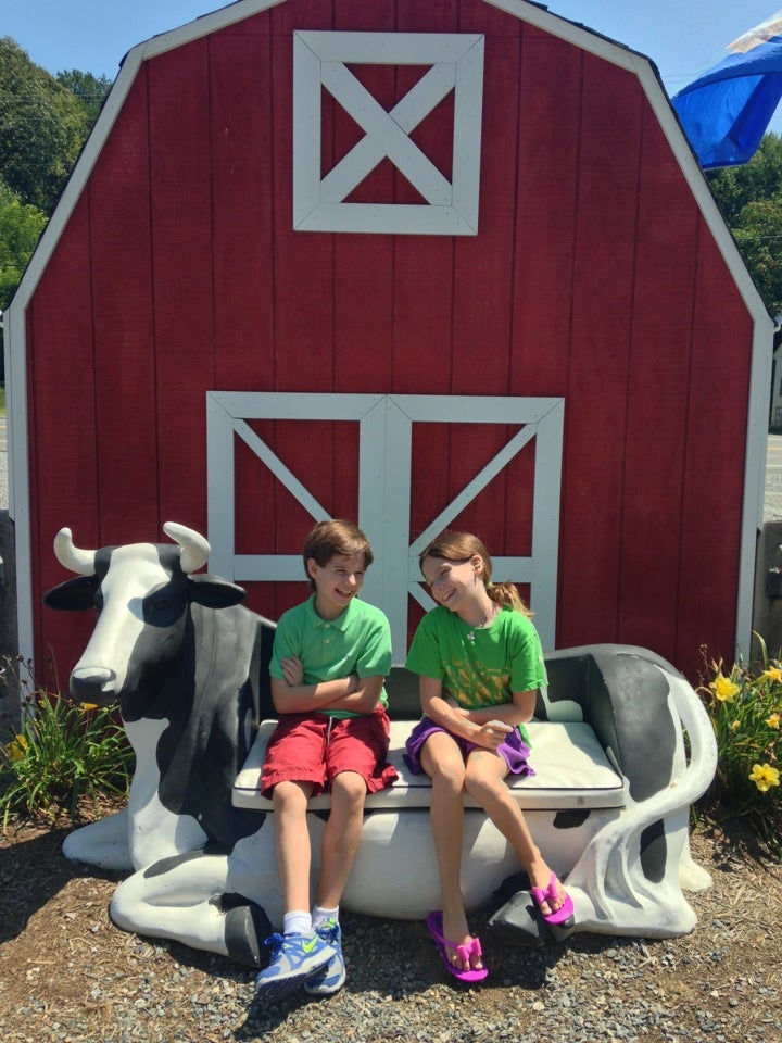 T & J's Dairy Barn, 718 Jessie Dupont Memorial Hwy, Burgess, VA, Dairy