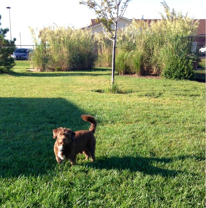 Yoder, KS Map & Directions MapQuest