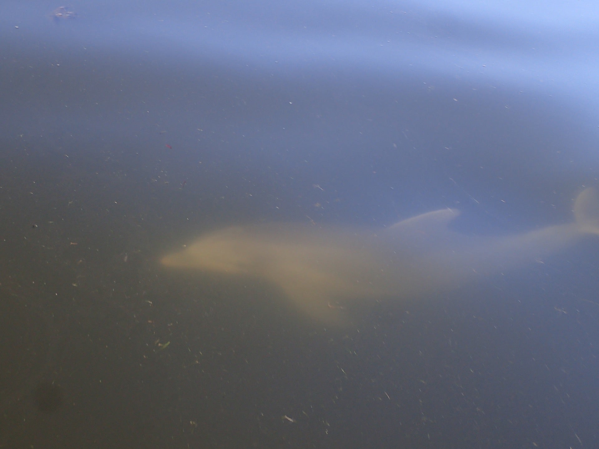 Yankeetown, FL Map & Directions MapQuest