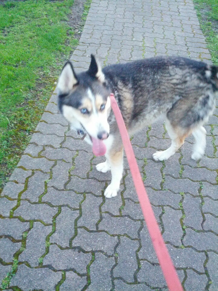 Frazer, PA Map & Directions MapQuest