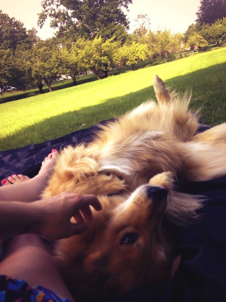 Wharton, NJ Map & Directions MapQuest