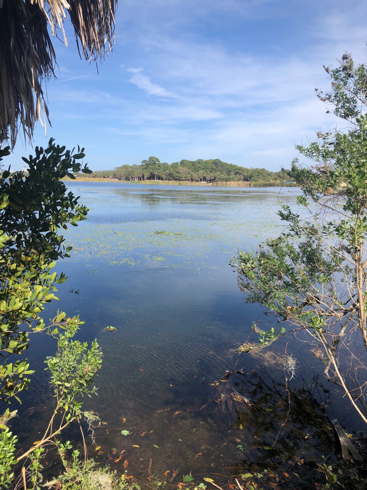 Lake Maggiore Island, Saint Petersburg, FL - MapQuest