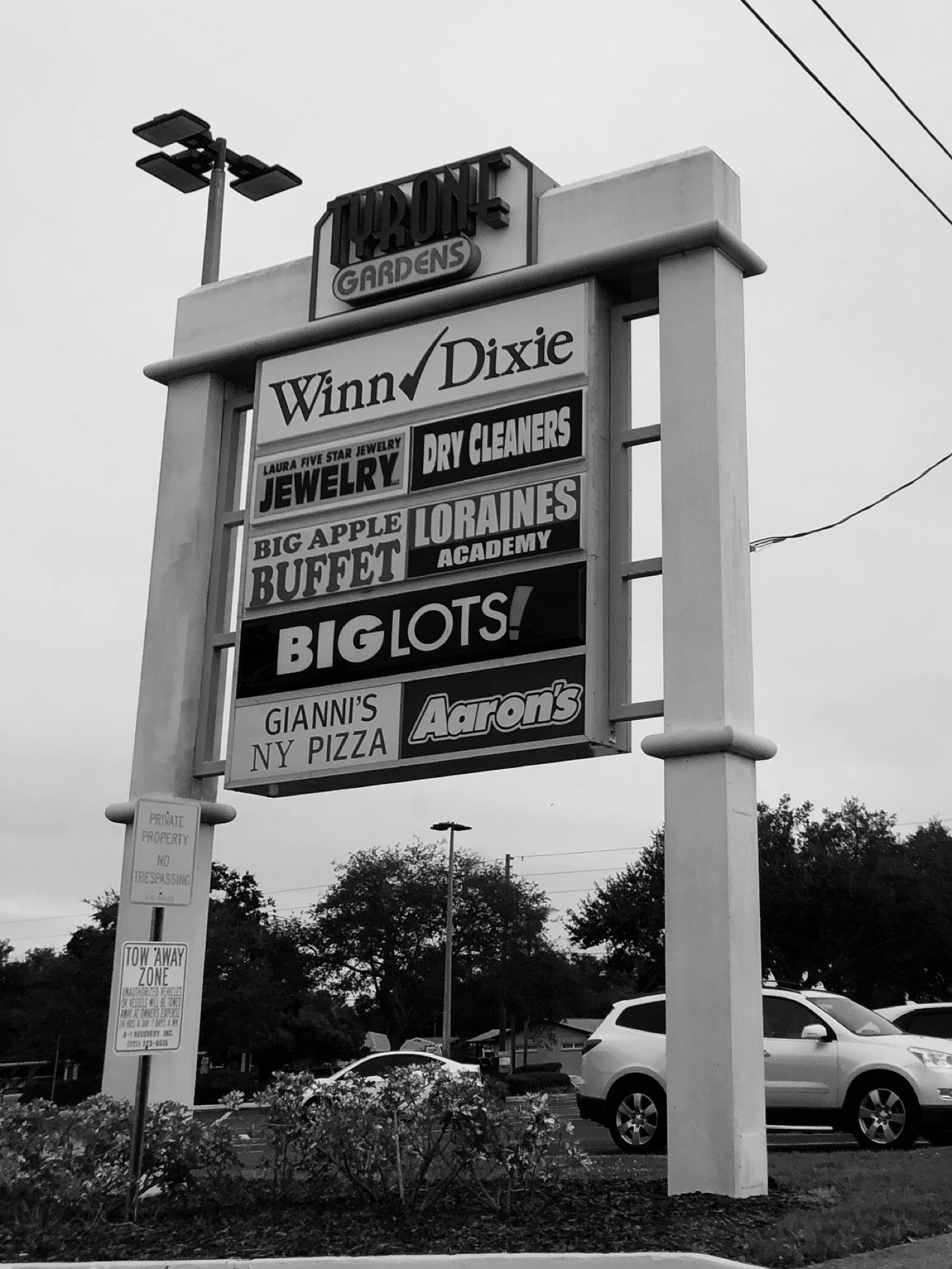 Tyrone Gardens, 937 Tyrone Blvd N, St Petersburg, FL, Social Services