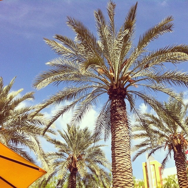 Westgate City Center, 6770 N Sunrise Blvd, Glendale, AZ MapQuest