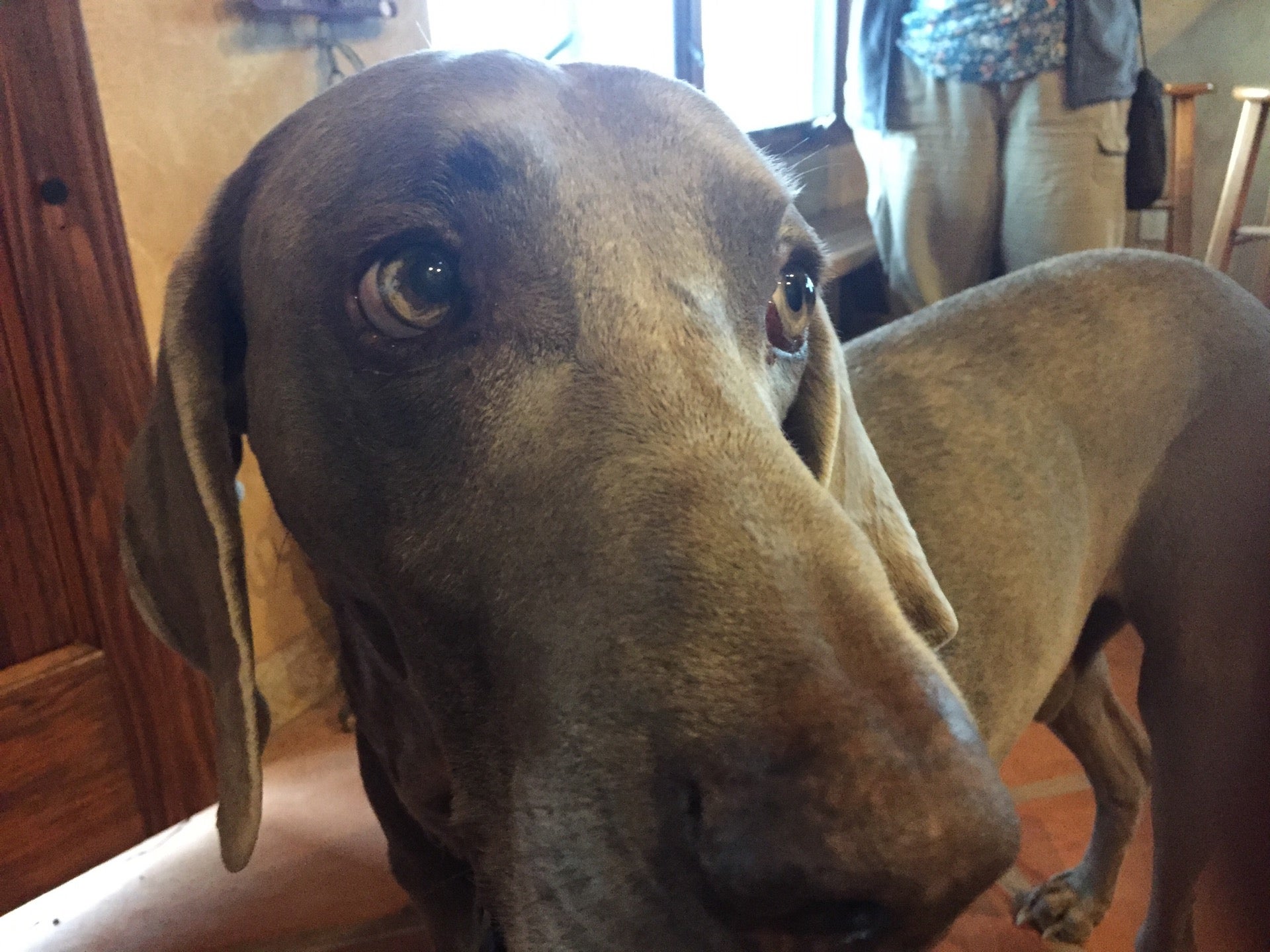 Sonoita, AZ Map & Directions MapQuest