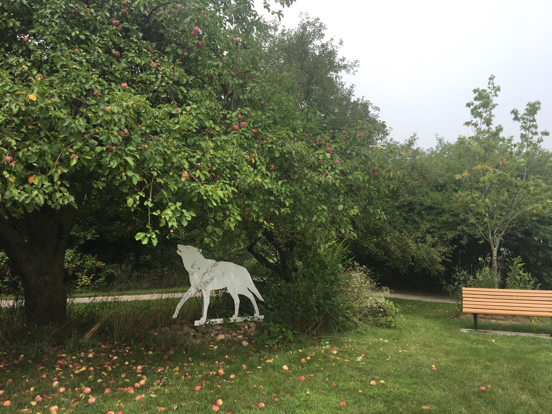 Prairie Wolf Park, 8555 Kalamazoo Ave SE, Caledonia, MI MapQuest