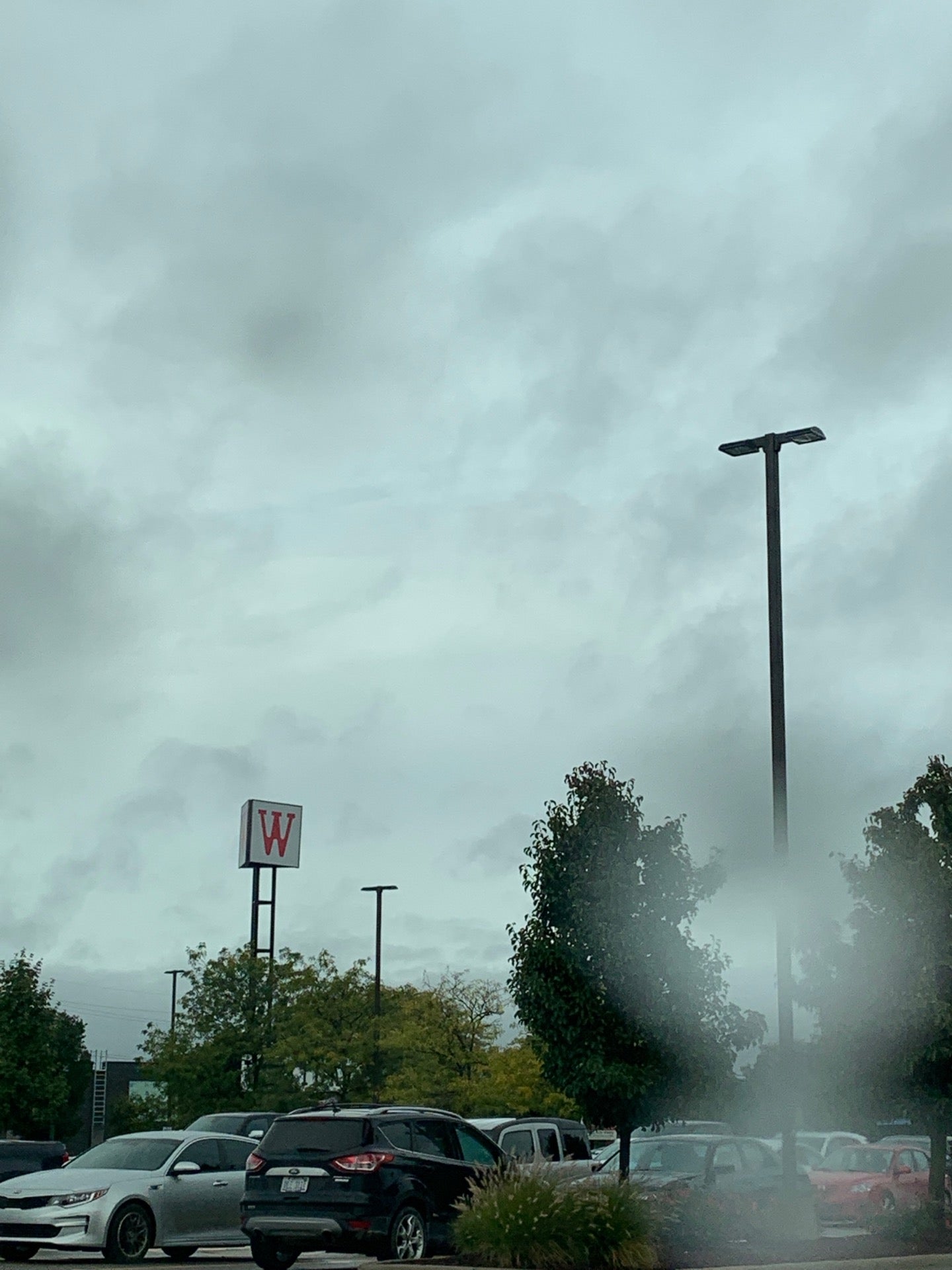 Westgate Shopping Center, 2505 Jackson Ave, Ann Arbor, MI, Shopping