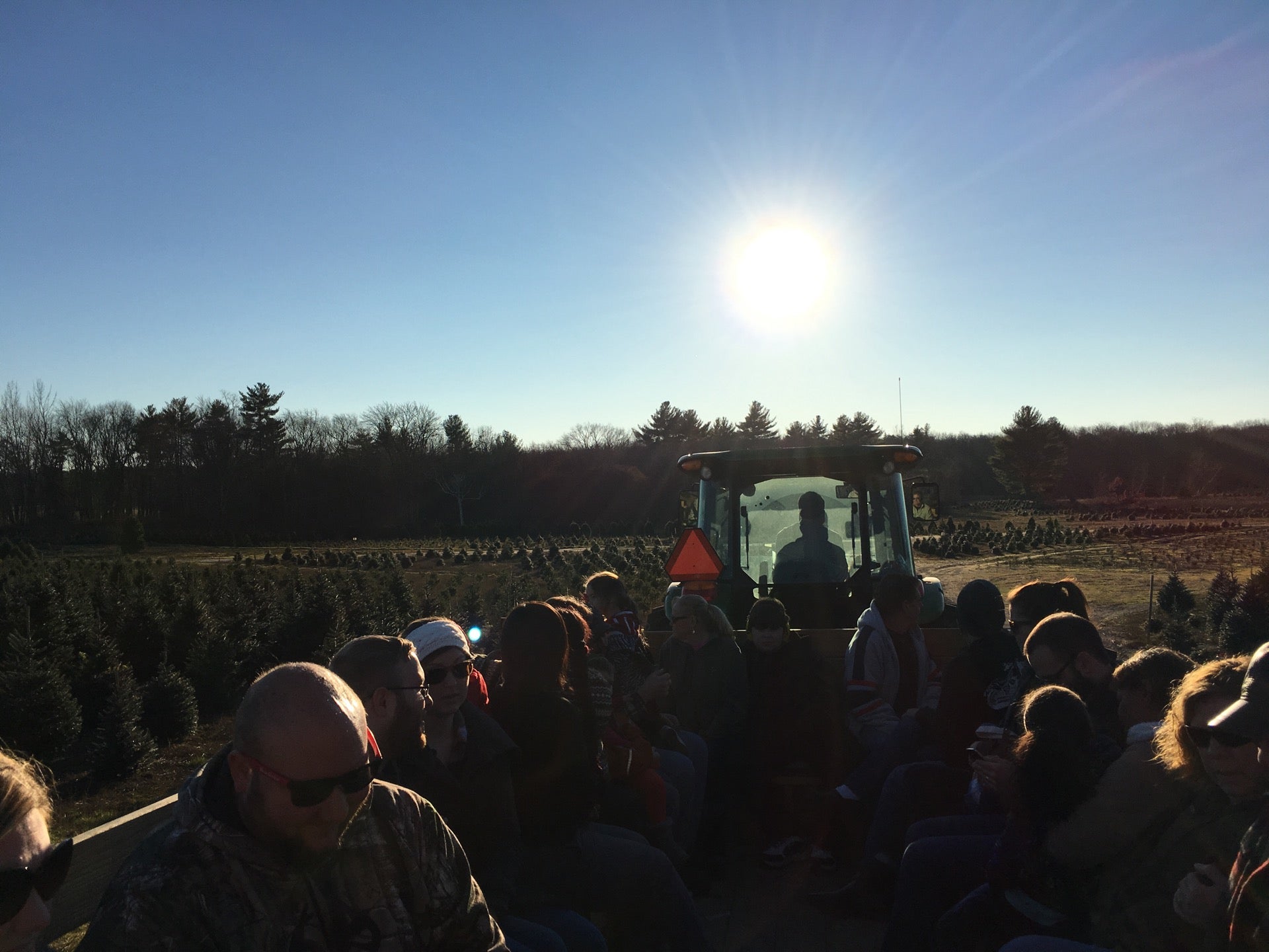 Henry's tree farm, 7 Mile Rd, Cranston, RI, Farms MapQuest