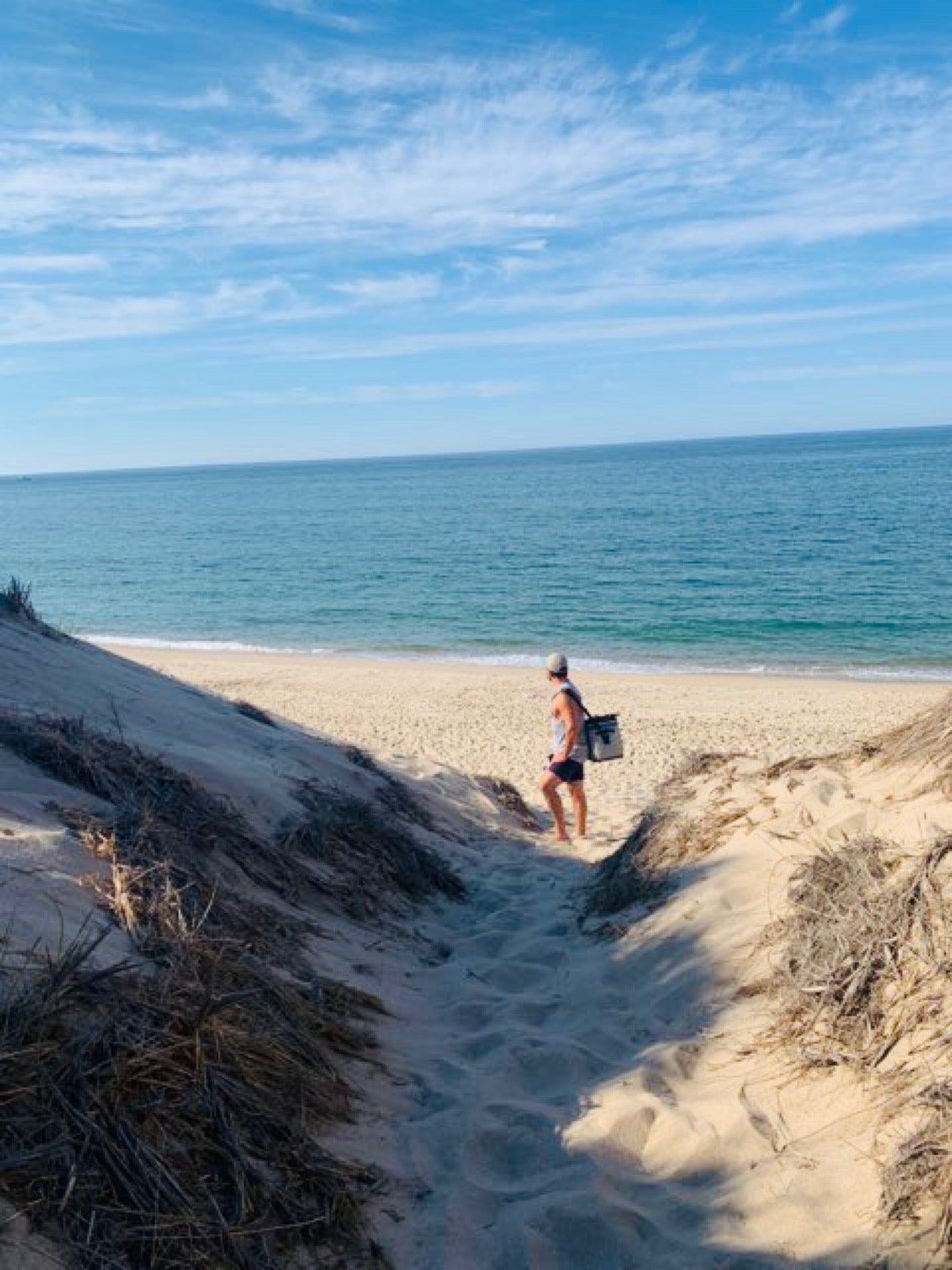 Parabolic Dunes, Route 6, Provincetown, MA MapQuest