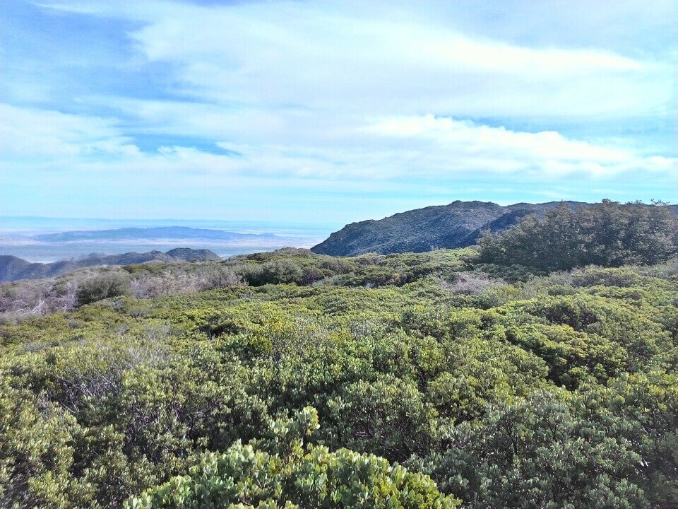 Laguna Picnic Spots