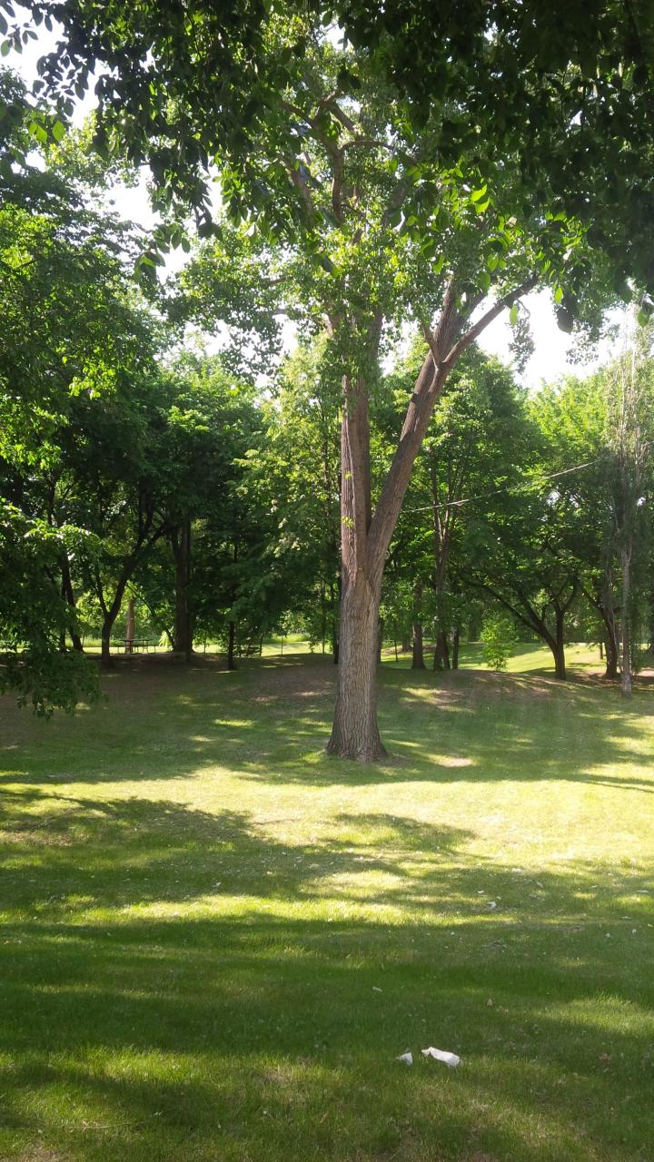 Langdon, ND Map & Directions MapQuest