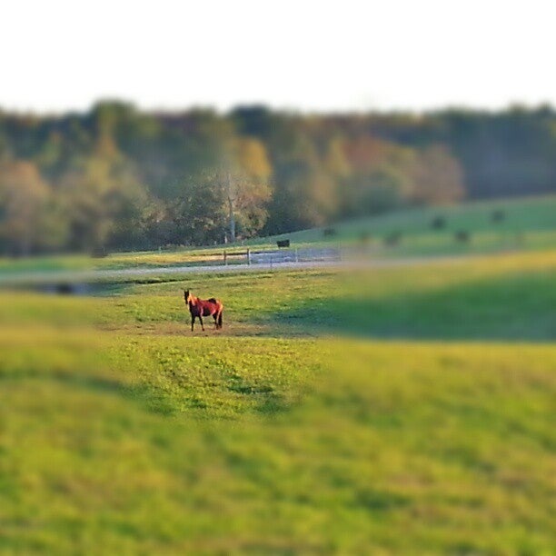 NC A&T SU Farm, 3216 McConnell Rd, 3238, Greensboro, NC, Farms MapQuest