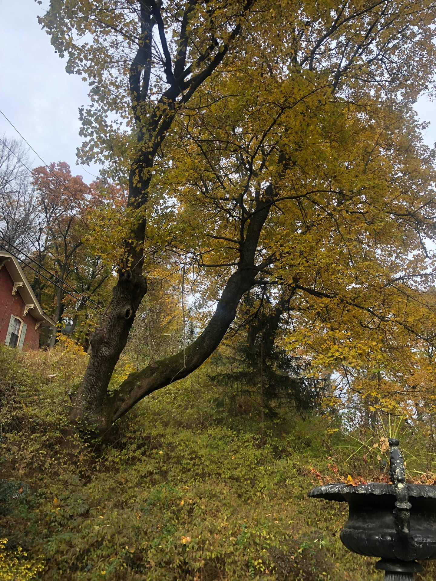 Kemmerer Park, Packer Hill Rd, Jim Thorpe, PA, Parks MapQuest