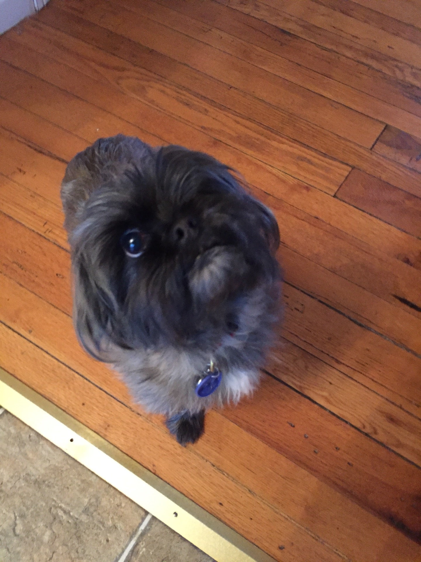 Loretto, KY Map & Directions MapQuest