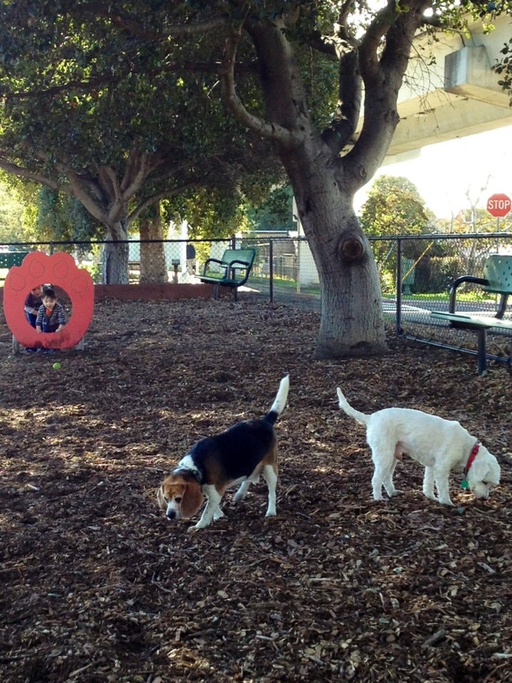 El Cerrito, CA Map & Directions MapQuest