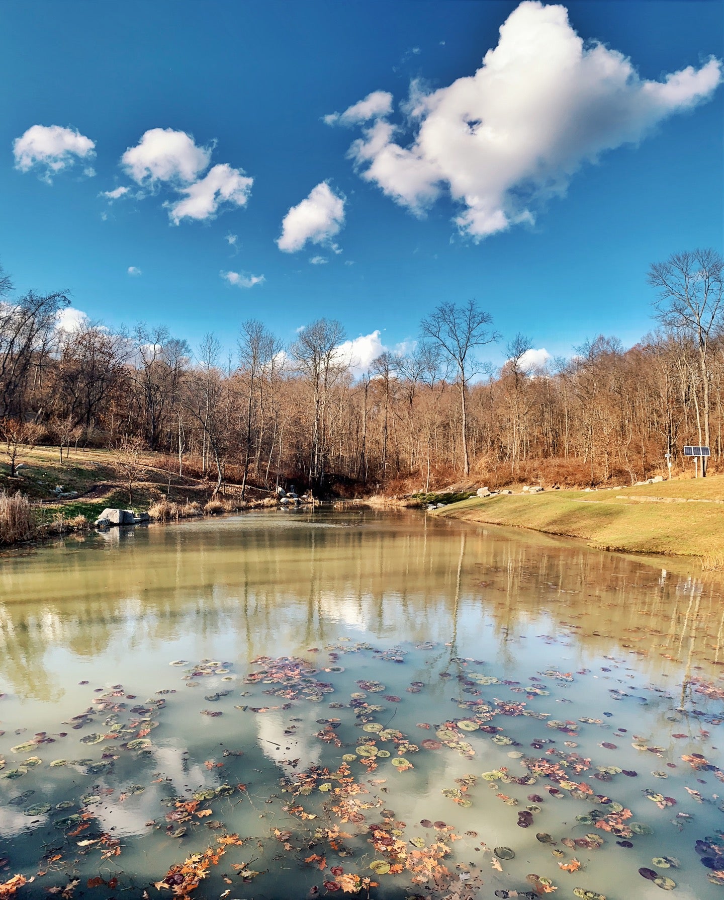 Pittsburgh Botanic Garden, 799 Pinkerton Run Rd, Oakdale, PA, Botanical