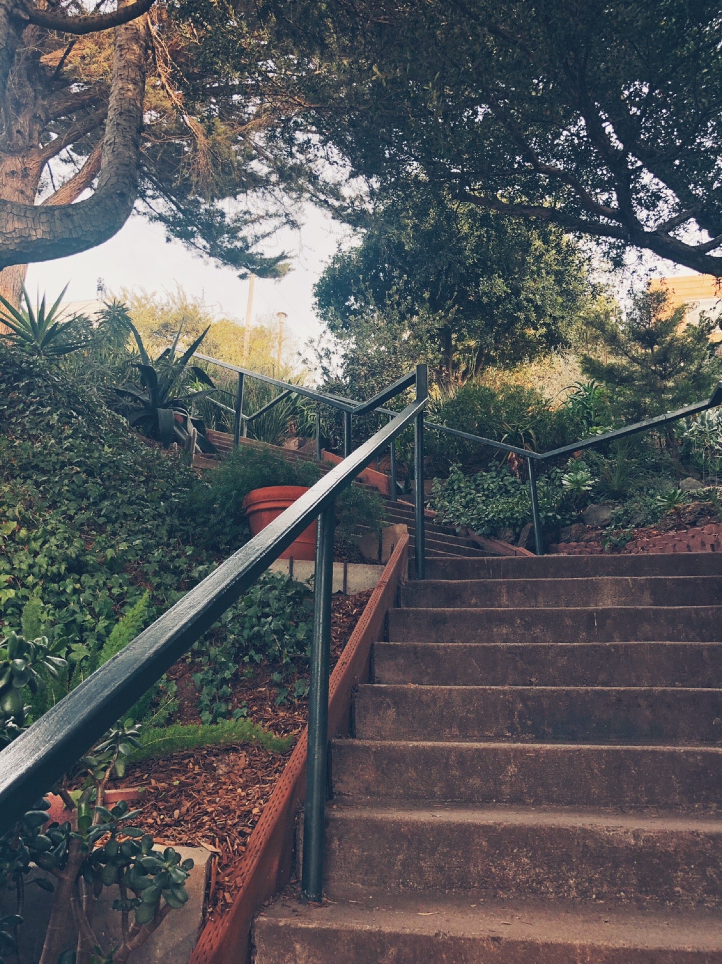 Esmeralda Slide Park Winfield St San Francisco, CA Parks MapQuest