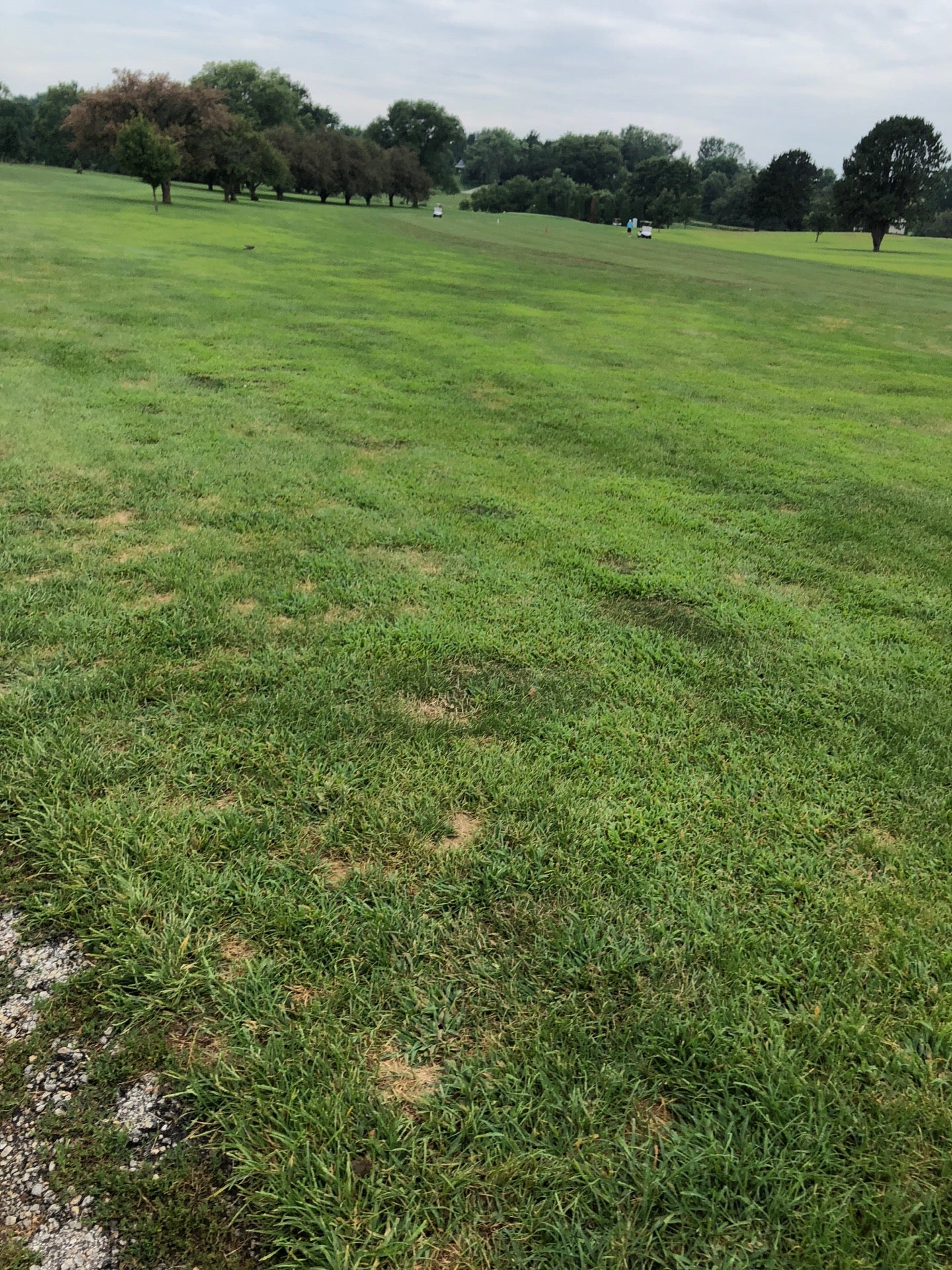 Glen Woodie Golf Club 19301 S State St Glenwood IL MapQuest