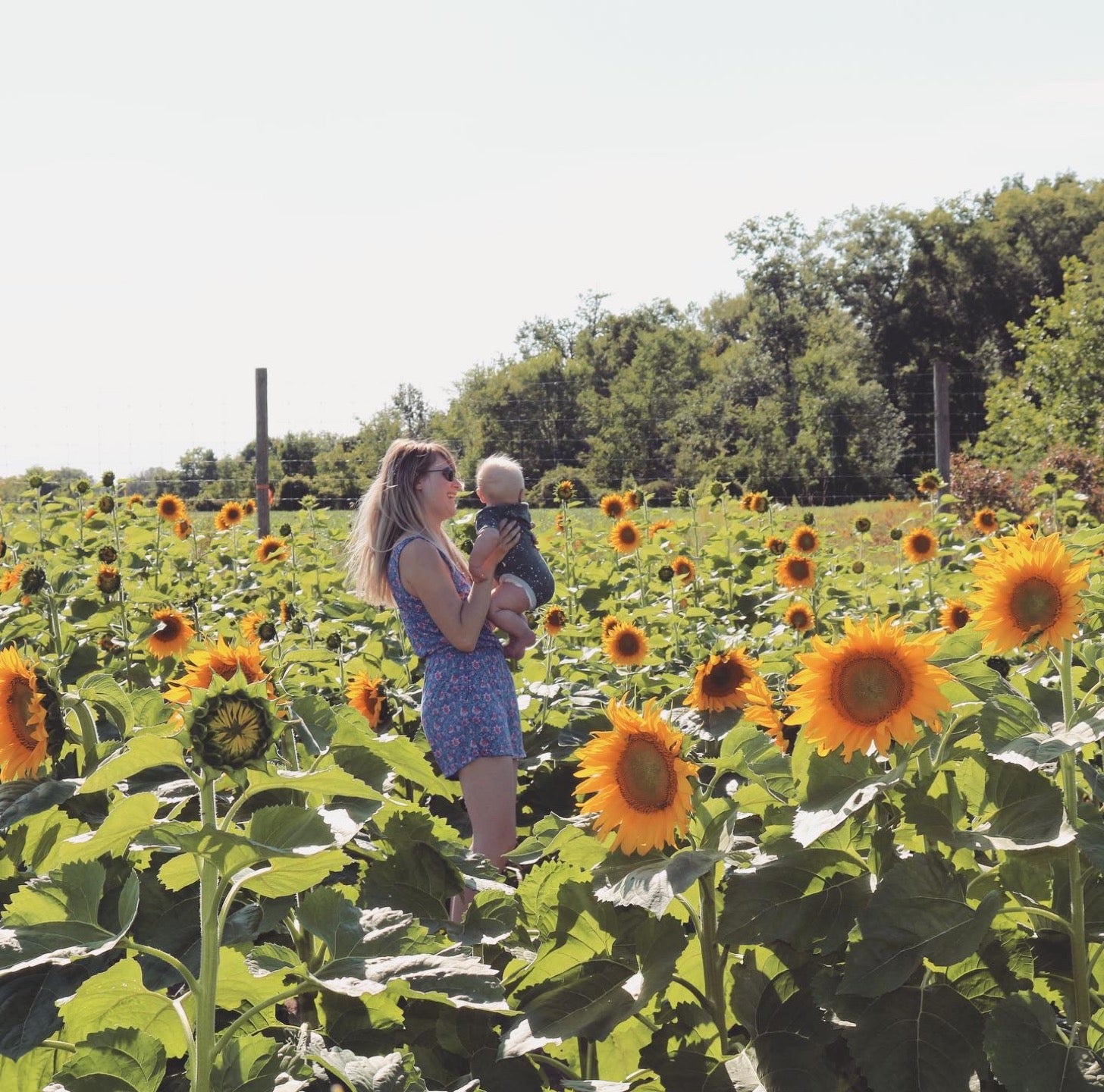 Leonard, MI Map & Directions MapQuest