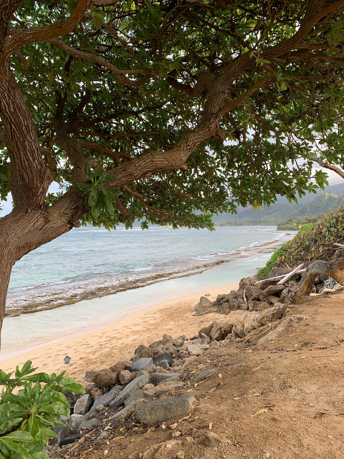 Bath Tub Beach, North Shore Oahu, Kamehameha Hwy, Honolulu, HI - MapQuest