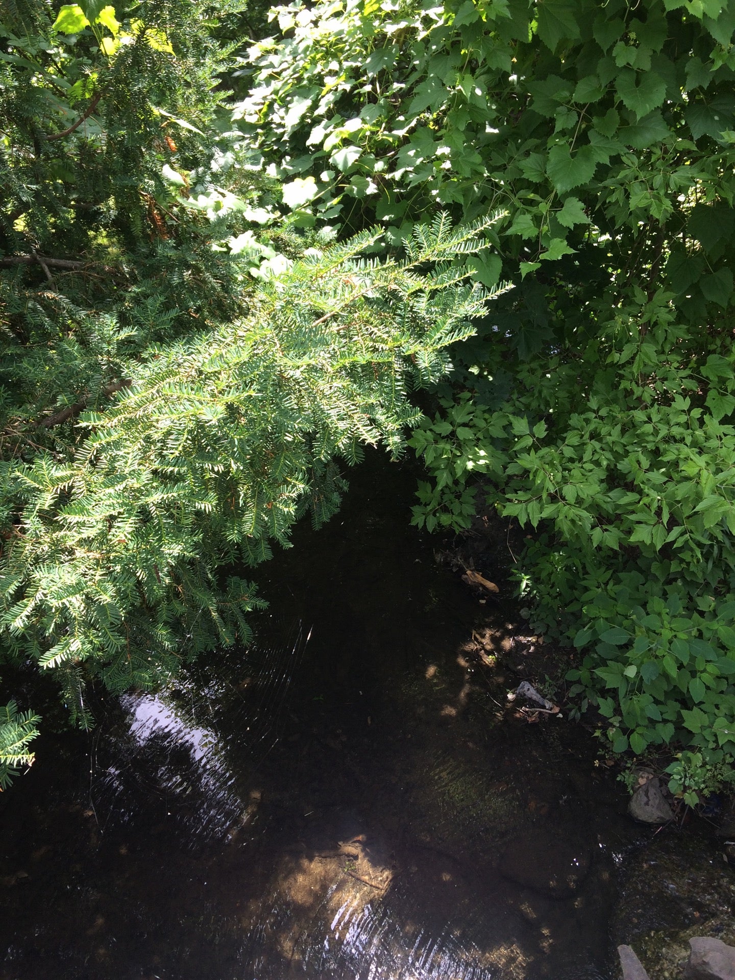 Wayne, PA Map & Directions MapQuest