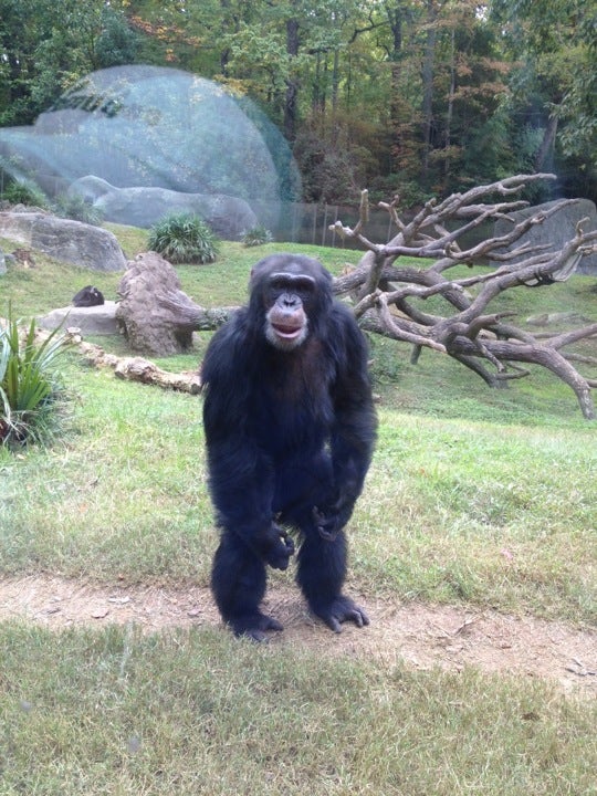 North Carolina Zoological Park, 4401 Zoo Pkwy, Asheboro, North Carolina