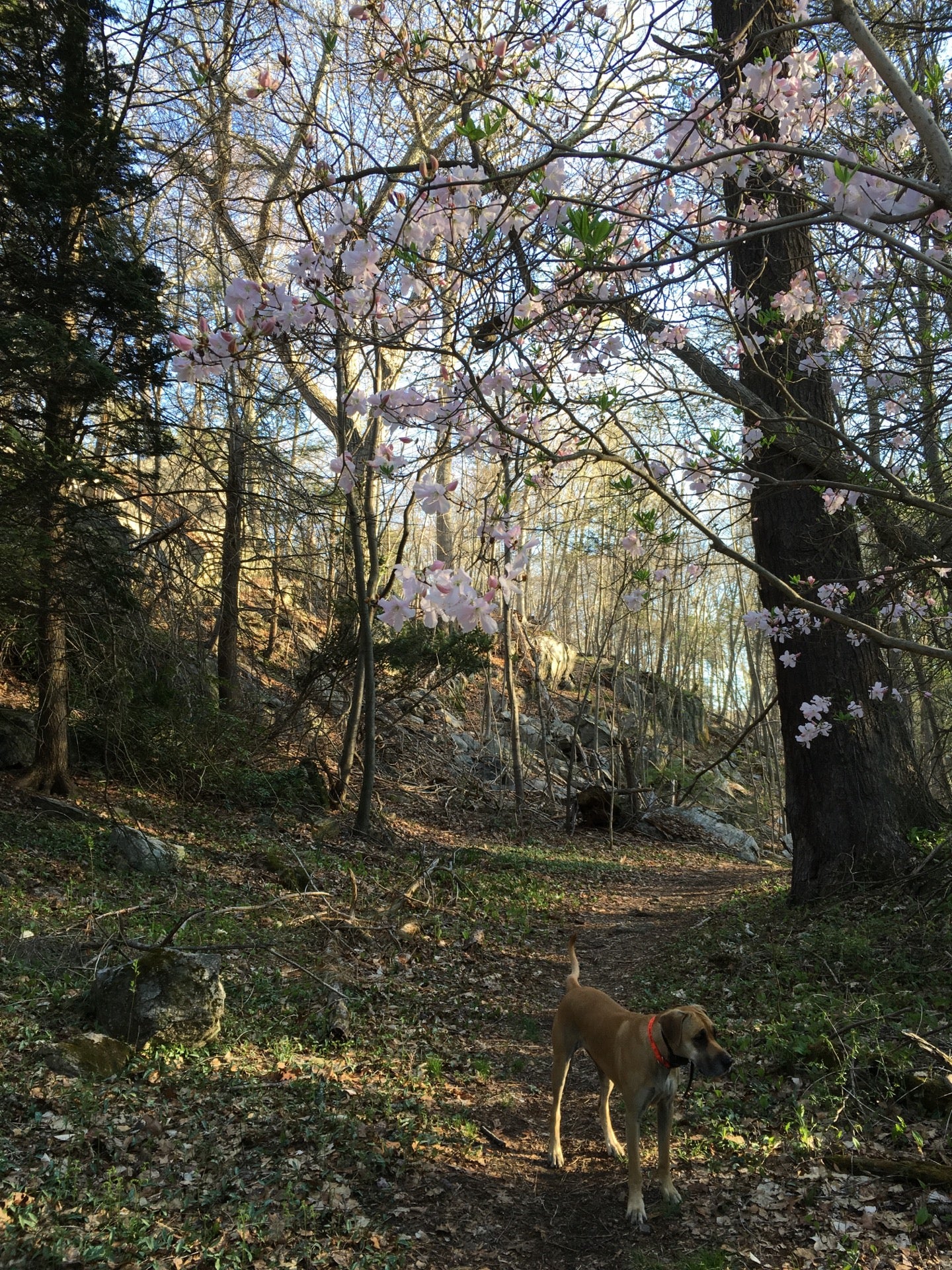 Greenwich, CT Map & Directions MapQuest