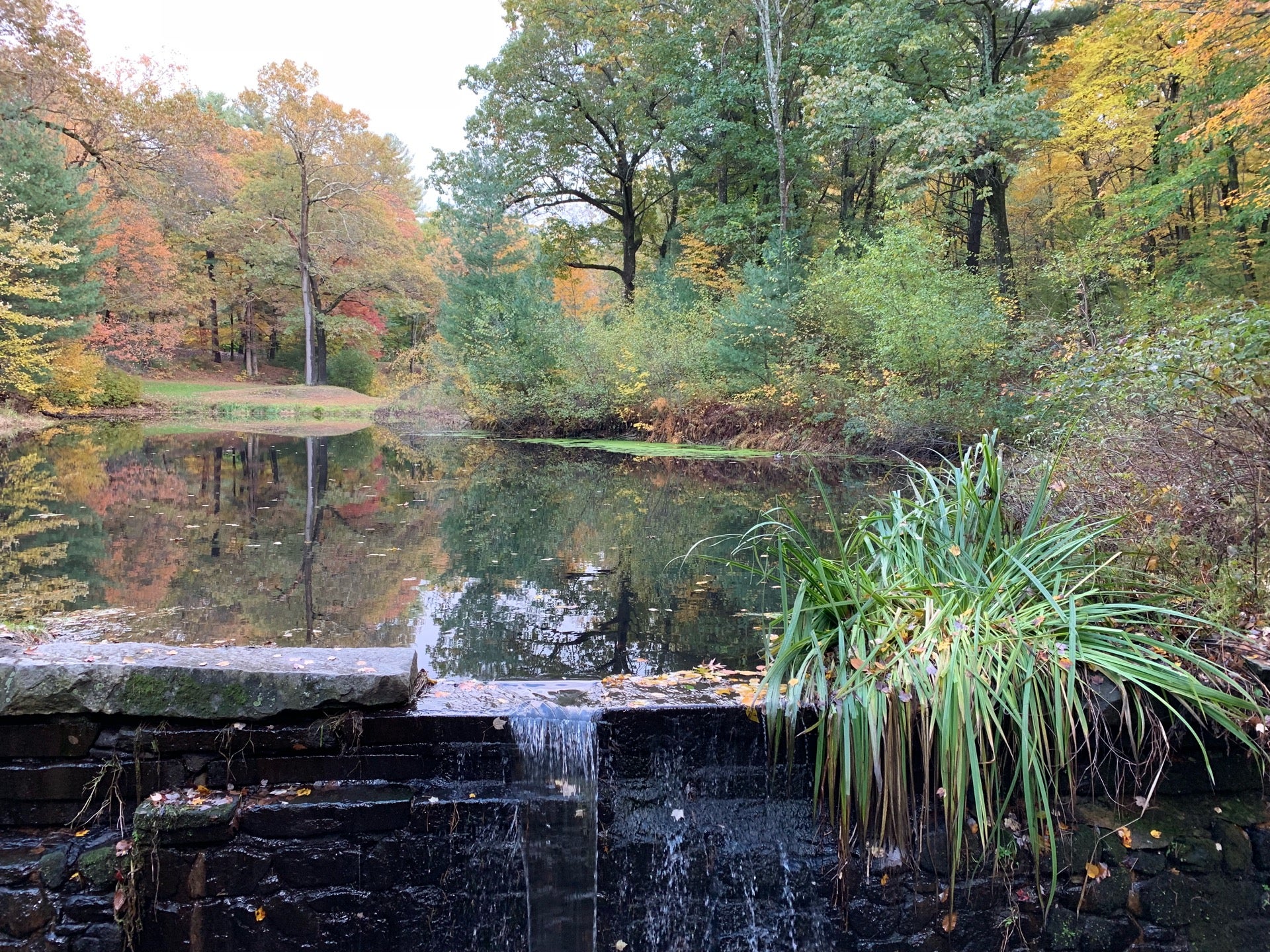 Longmeadow, MA Map & Directions MapQuest