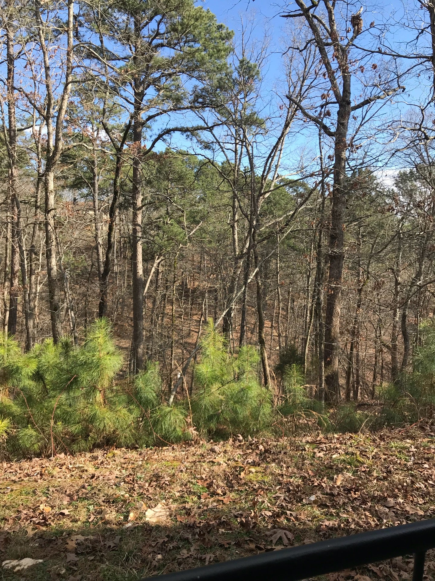 Eureka Springs Treehouses, 3018 E Van Buren, Eureka Springs, AR, Bed