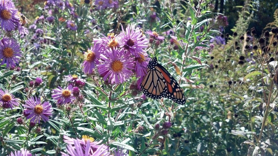 Whitelaw, WI Map & Directions MapQuest