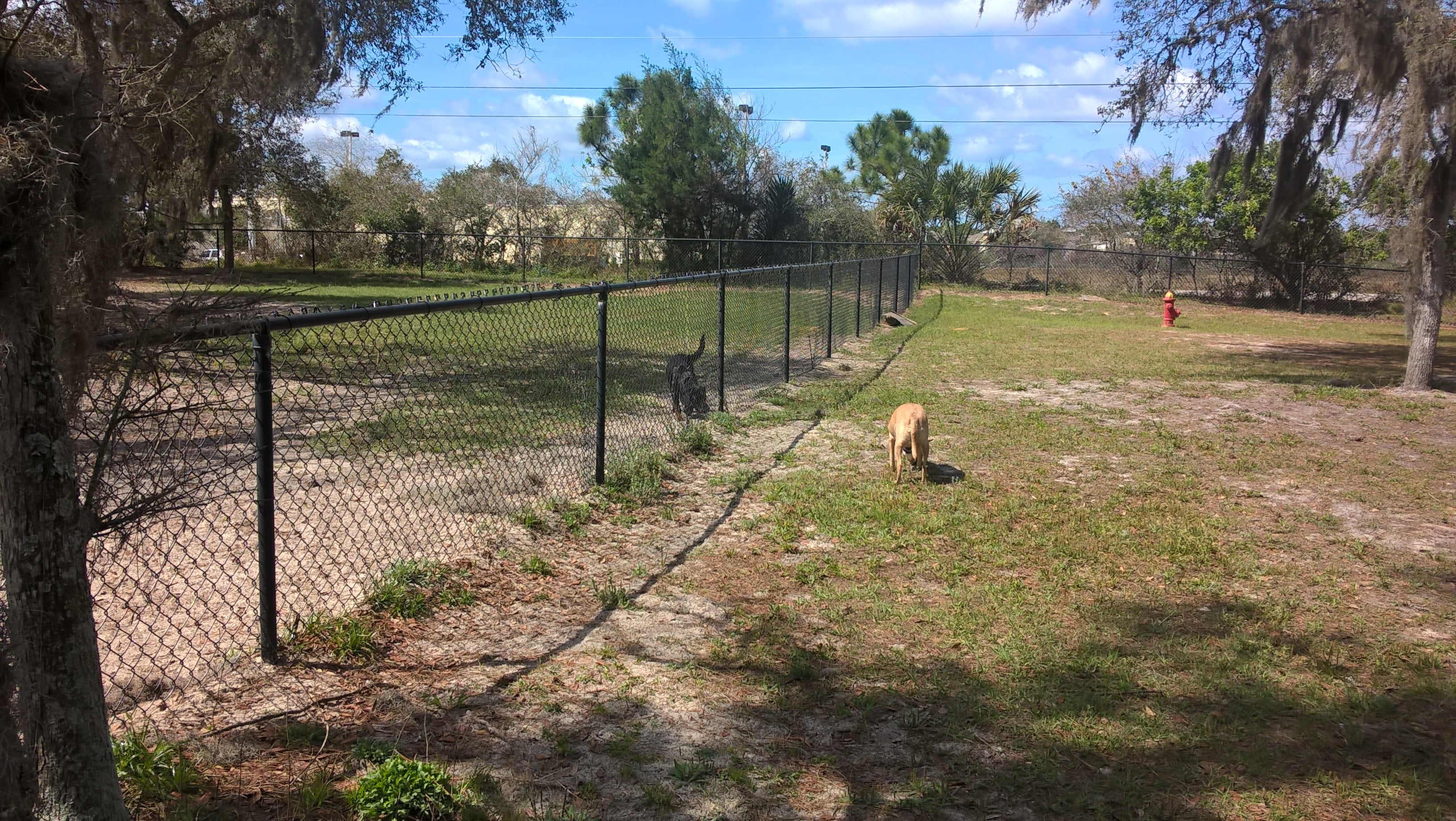 Dog Park At Wadsworth Park, Roberts Rd, Flagler Beach, FL, Landmark ...