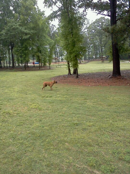 Rabbit Hill Dog Park, Dacula, GA, Parks MapQuest