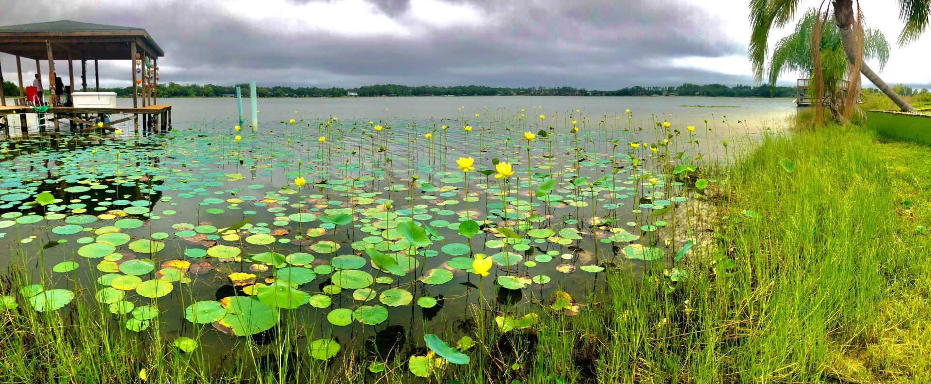 Lake Jessamine, Orlando, FL, Landmark MapQuest