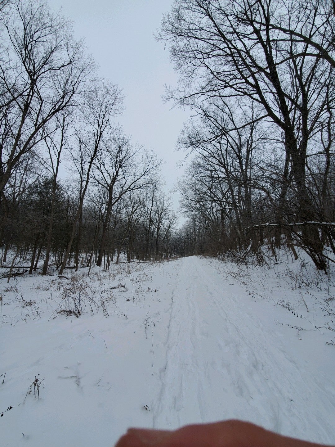 Morton Forest County Park, 5169 Reeve Road, Mazomanie, WI, Forest