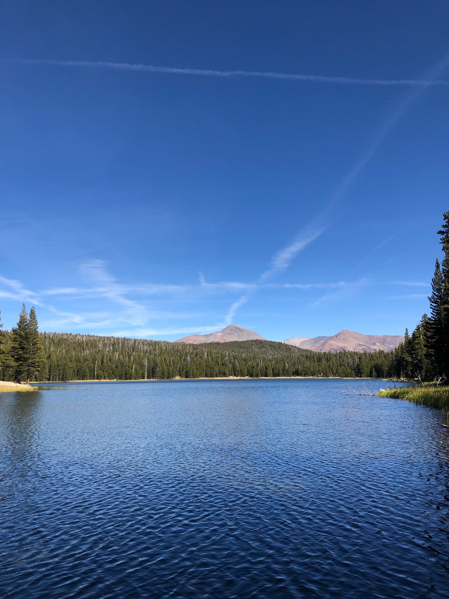 Dog Lake, Yosemite National Park, CA, Lake - MapQuest