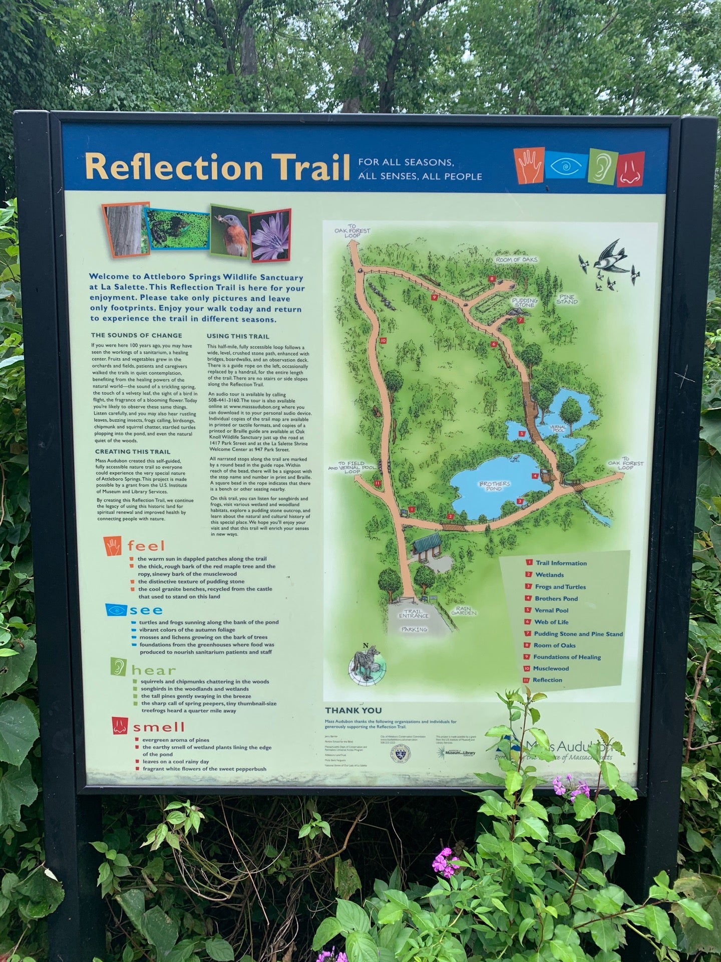 Mass Audubon Attleboro Springs Wildlife Sanctuary at La Salette, 947