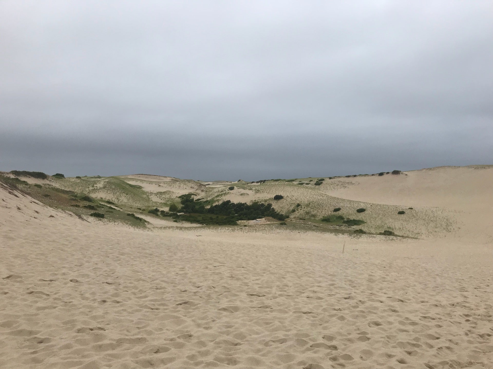 Provincetown Sand Dunes, Commercial St, Provincetown, Town of, MA