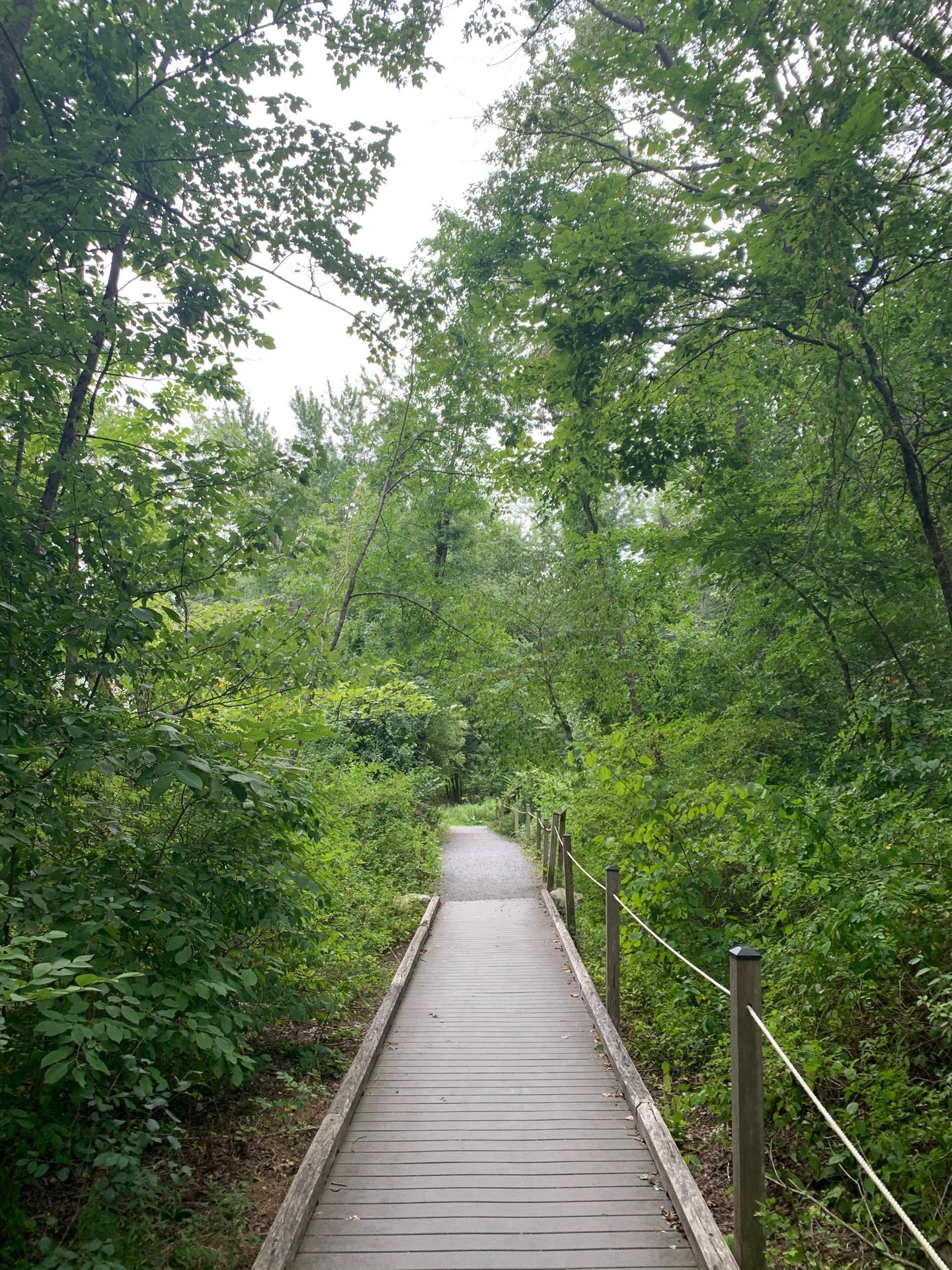 Mass Audubon Attleboro Springs Wildlife Sanctuary at La Salette, 947