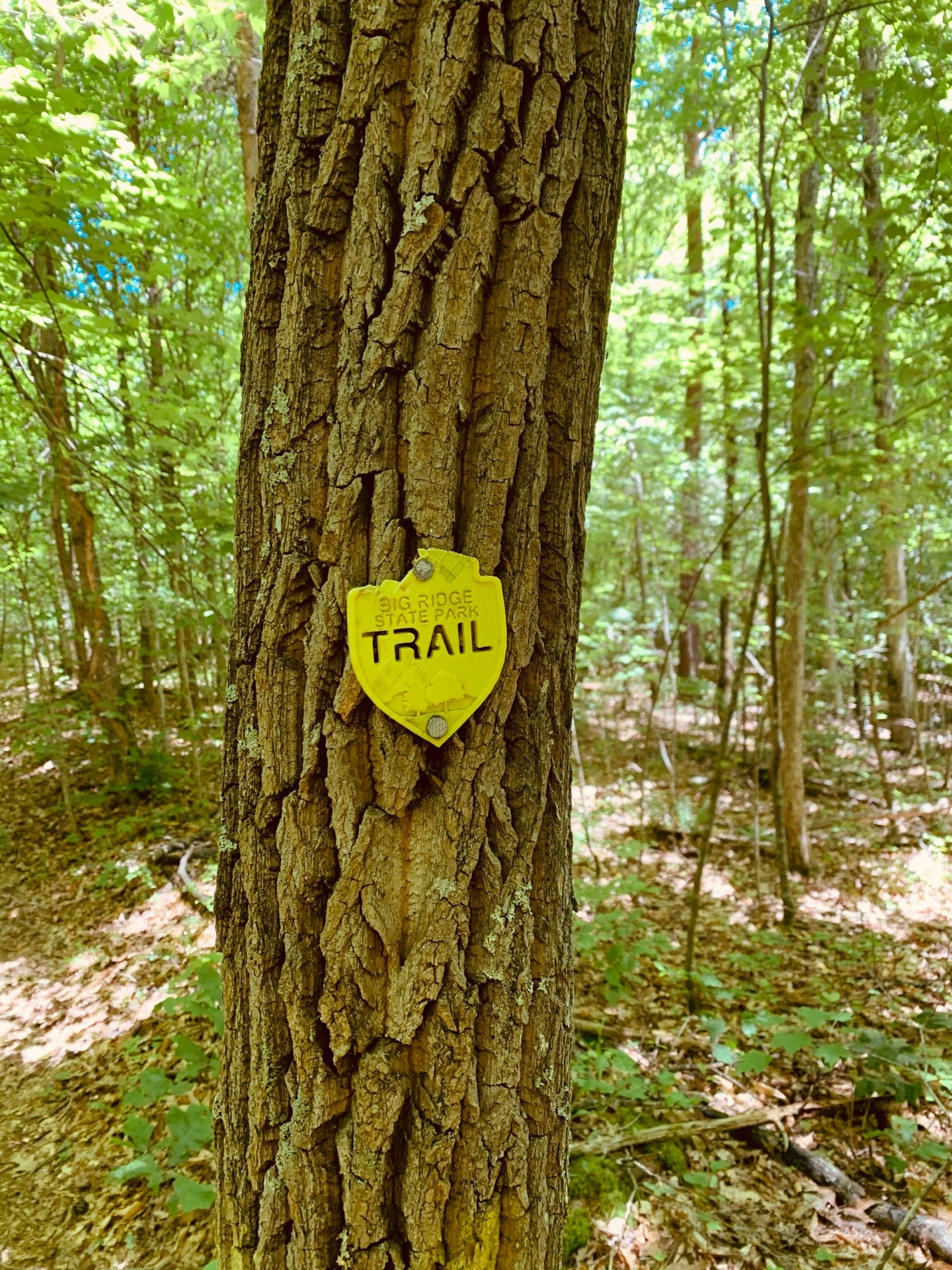 Maynardville, TN Map & Directions MapQuest