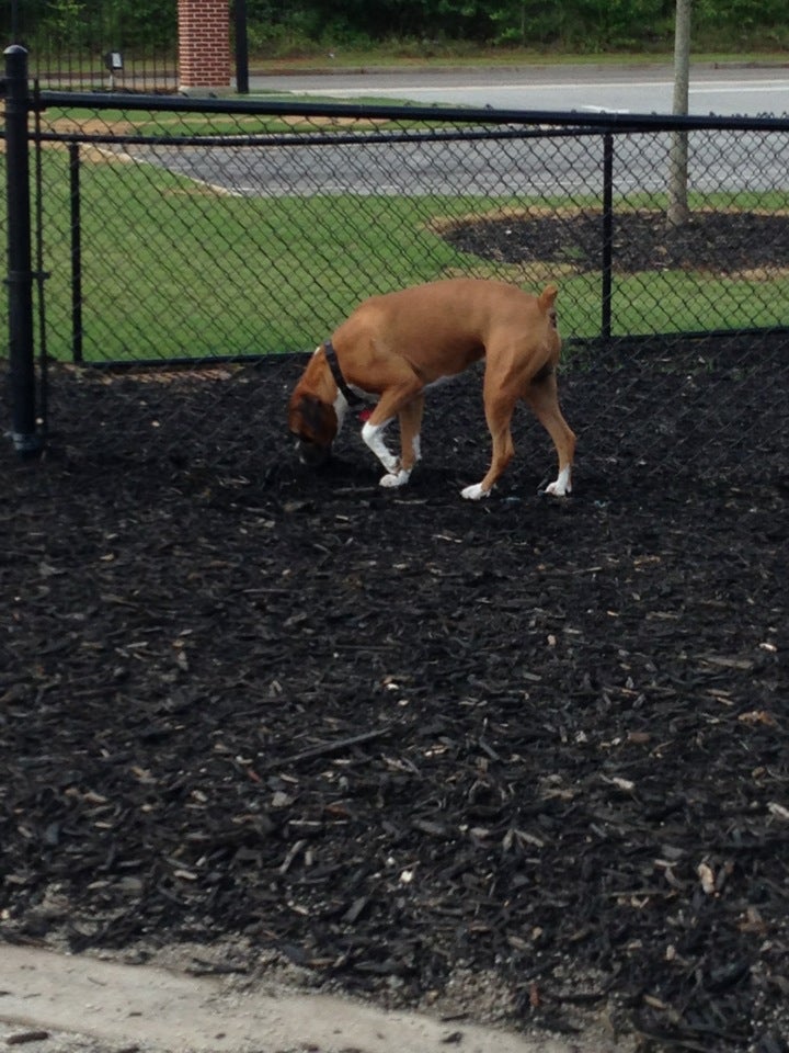 Dog Park At Evans Town Center Park, 632-634 Evans Town Ctr, Evans, GA